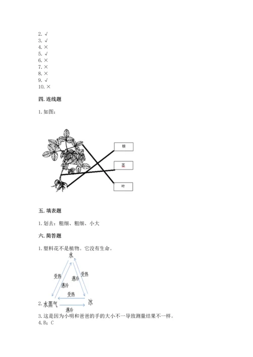 教科版一年级上册科学期末测试卷精品（黄金题型）.docx