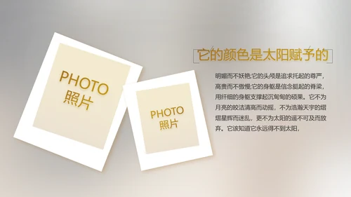电影风公司产品介绍图片展示PPT动态模板