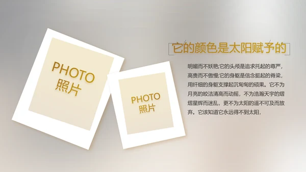 电影风公司产品介绍图片展示PPT动态模板