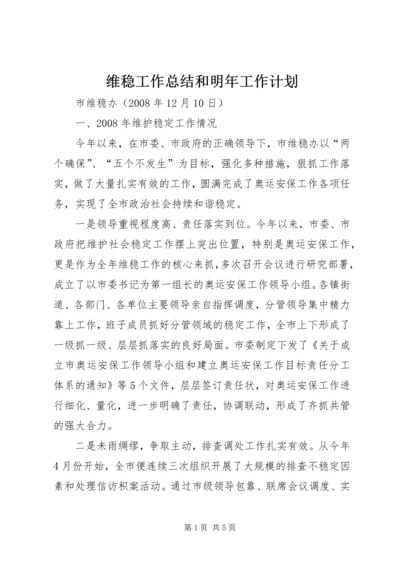 维稳工作总结和明年工作计划.docx