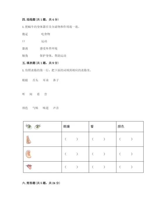 教科版小学科学一年级下册期末测试卷【名师系列】.docx