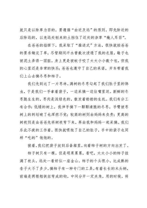 农家乐初中作文(共3页)