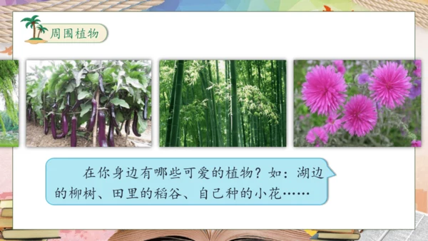 【核心素养】部编版语文三年级下册-习作-我的植物朋友（课件）