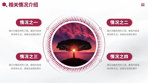 红色大学生职业生涯规划PPT模板