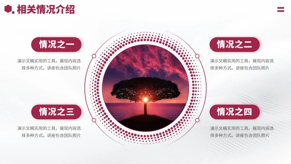 红色大学生职业生涯规划PPT模板