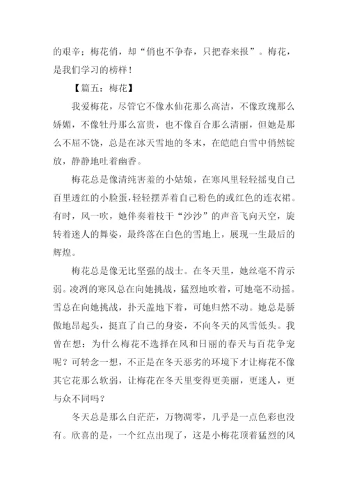 梅花的作文600字.docx