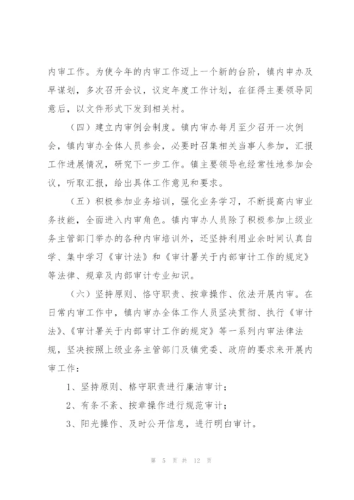 新成立公司内部审计工作总结.docx