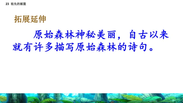 23祖先的摇篮（课件）