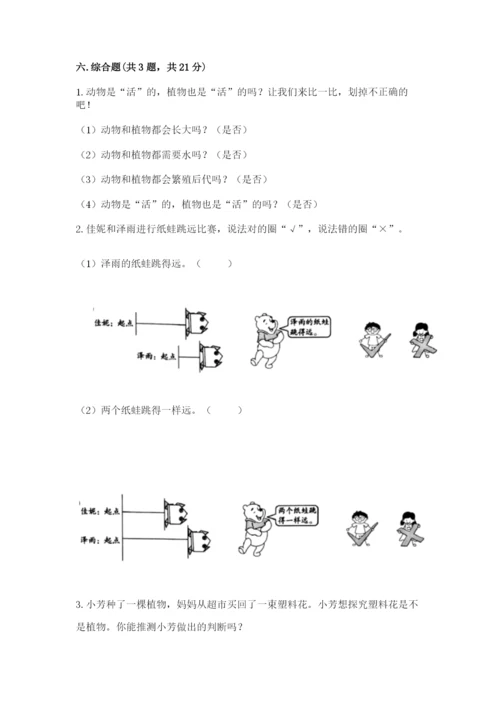 教科版一年级上册科学期末测试卷（b卷）.docx