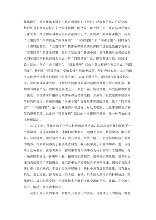 农村小学教师工作总结.docx