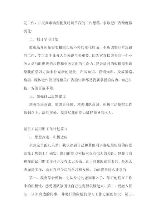 新员工试用期工作计划.docx