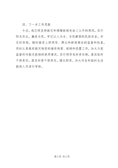 乡镇救灾救助整治自查报告.docx