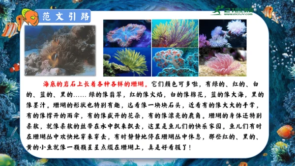 18.富饶的西沙群岛  课件