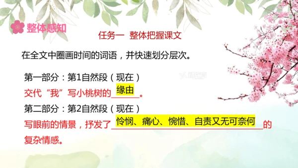 第19课 一棵小桃树 课件(共24张PPT)