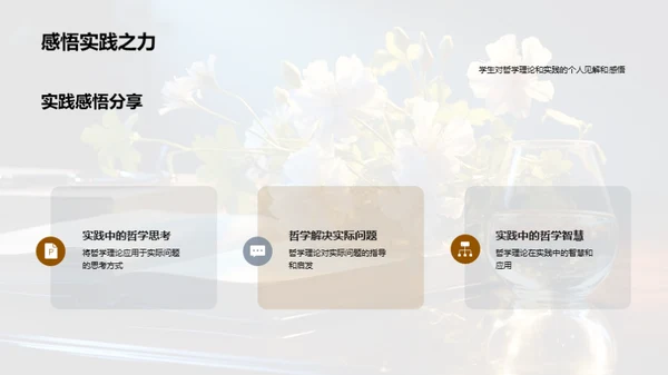哲学实践与理论探索