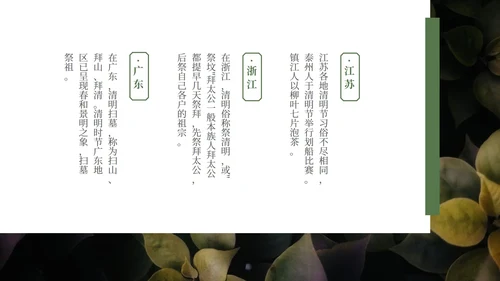 绿色大气清新绿植清明节主题PPT模板