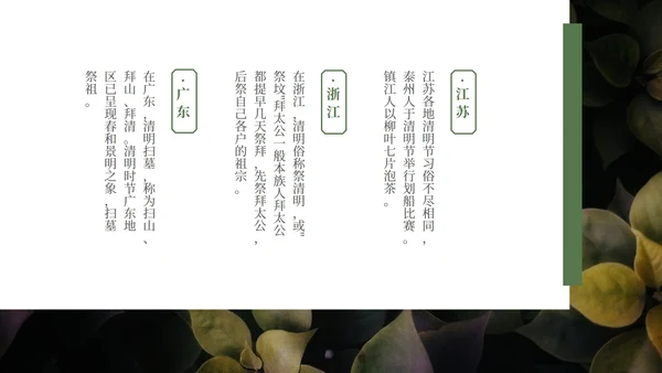 绿色大气清新绿植清明节主题PPT模板