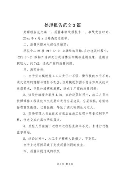 处理报告范文3篇 (2).docx