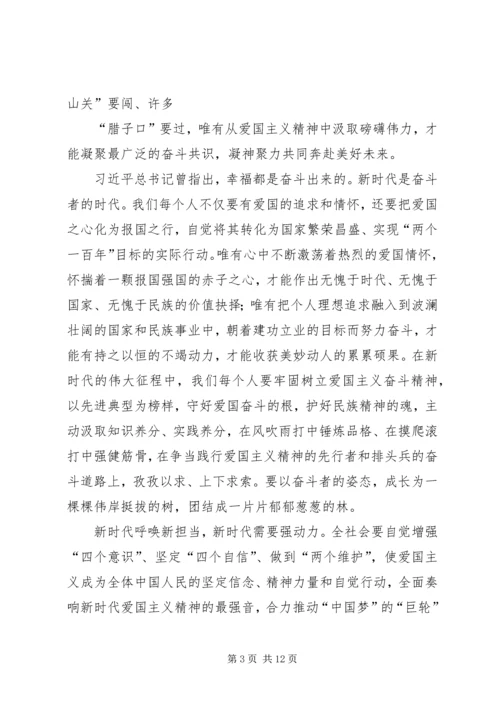 学习《新时代爱国主义教育实施纲要》心得体会5篇.docx