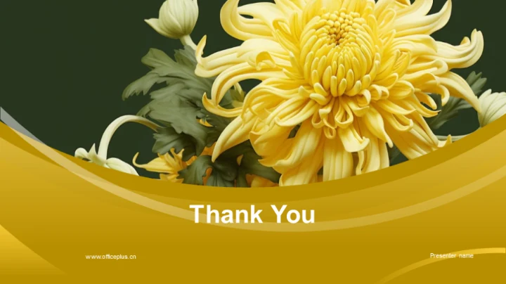 重阳节营销策略解析