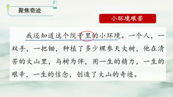 第20课《青山不老》（课件）