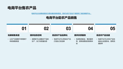 双十二农产品网络营销PPT模板