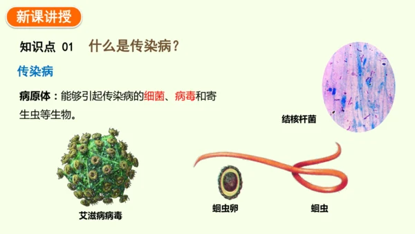 8.1.1传染病及其预防-八年级生物人教版下学期同步精品课件(共39张PPT)
