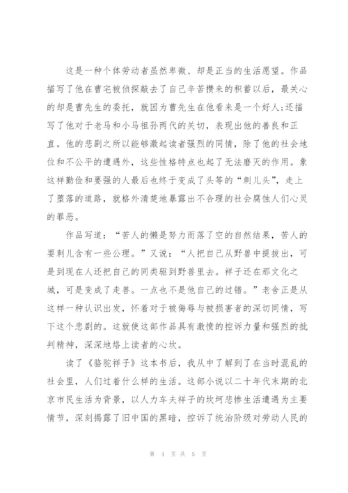 骆驼祥子小说六百字的读书心得3篇.docx