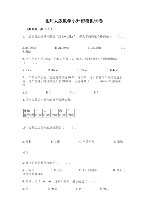 北师大版数学小升初模拟试卷精品（名师系列）.docx