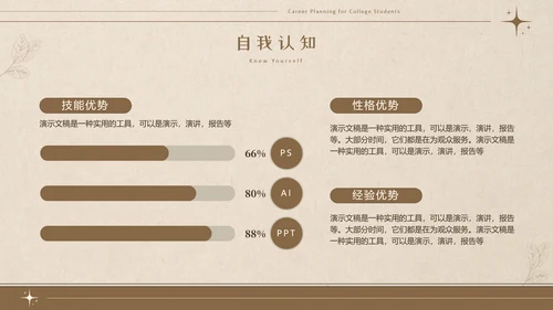 美拉德色大学生职业生涯规划PPT模板