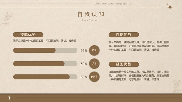 美拉德色大学生职业生涯规划PPT模板