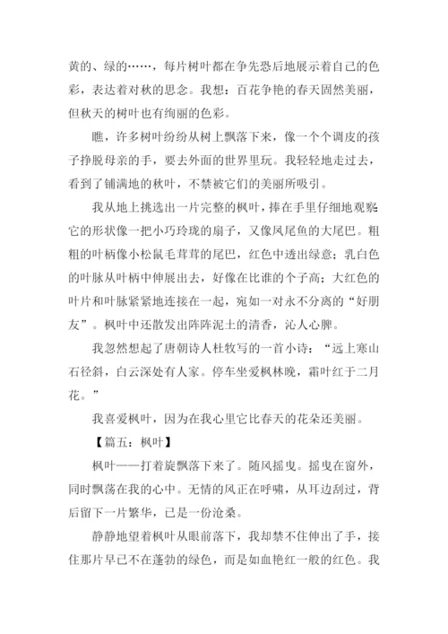 描写枫叶的作文.docx