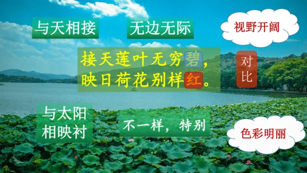 二下《古诗二》第一课时