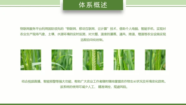 智慧农业耕地粮田通用PPT模板