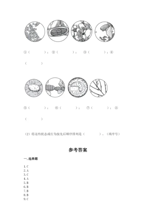 教科版三年级下册科学期末测试卷附答案【实用】.docx