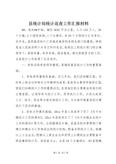 县统计局统计巡查工作汇报材料 (2).docx