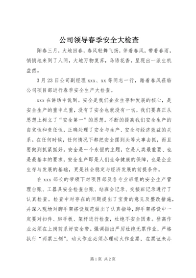 公司领导春季安全大检查.docx