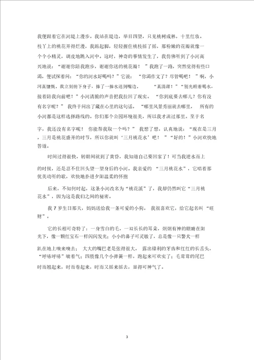 精选优秀作文我的小仓鼠