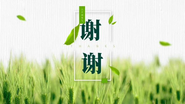小满——禾苗青苗稻谷嫩芽通用PPT模板