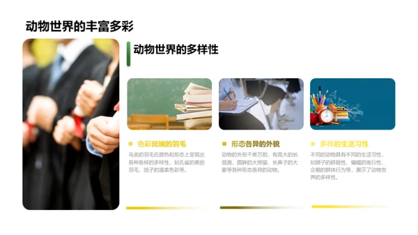 探索奇妙的动物世界