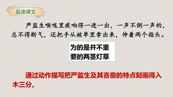 第13课《人物描写一组两茎灯草》（教学课件）