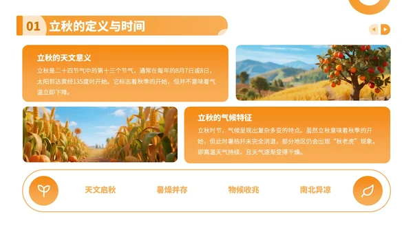 橙色卡通风走进立秋探寻节气文化