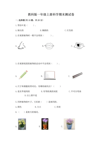 教科版一年级上册科学期末测试卷及参考答案（考试直接用）.docx