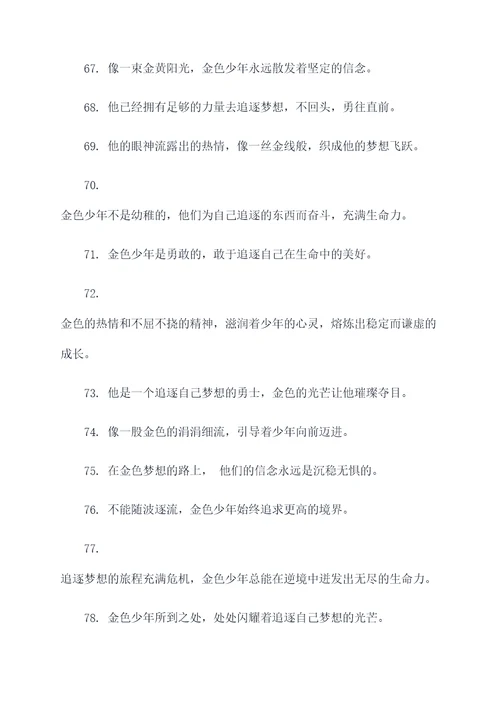 追逐金色的少年的好词好句