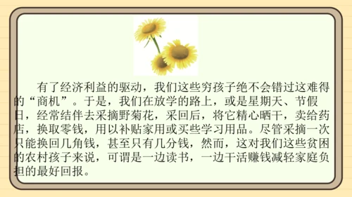 统编版语文五年级上册主题四　生活感悟 阅读与写作指导课件