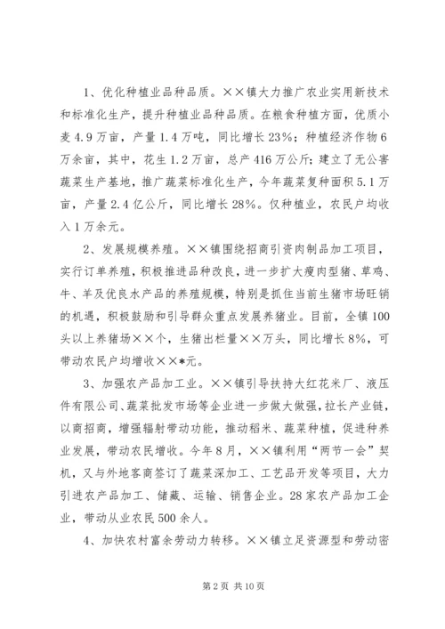 乡镇政府工作总结范文.docx