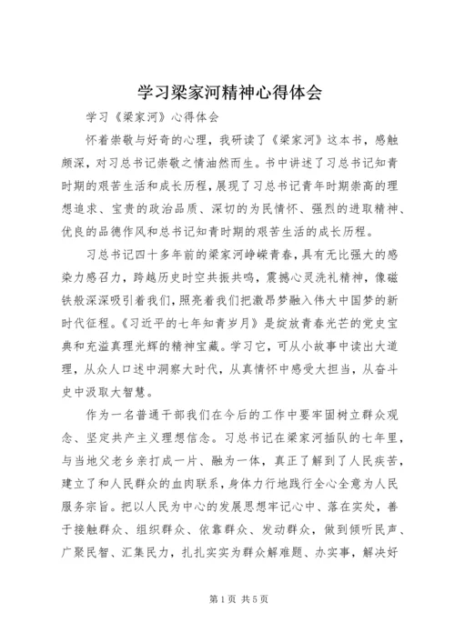 学习梁家河精神心得体会 (10).docx