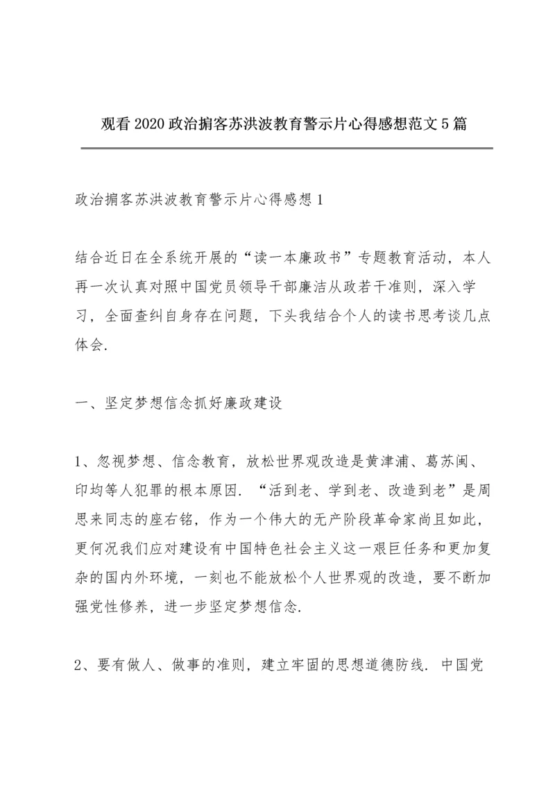 观看2020《政治掮客苏洪波》教育警示片心得感想范文5篇.docx