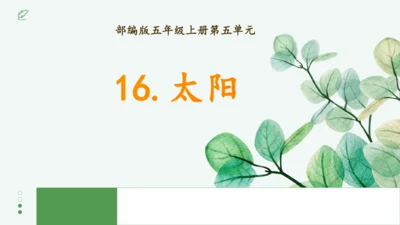 第16课《太阳》（课件）