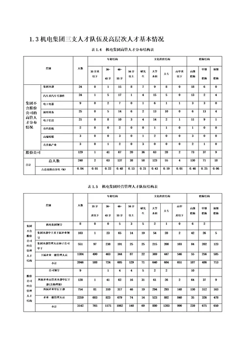 人才规划实施方案